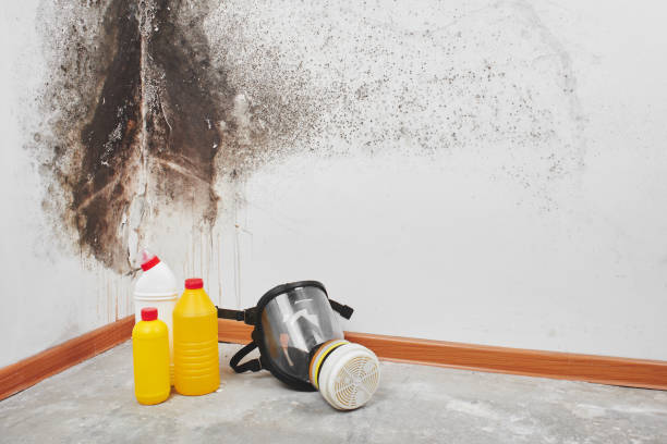 Best Crawl Space Mold Removal  in Waterloo, IA