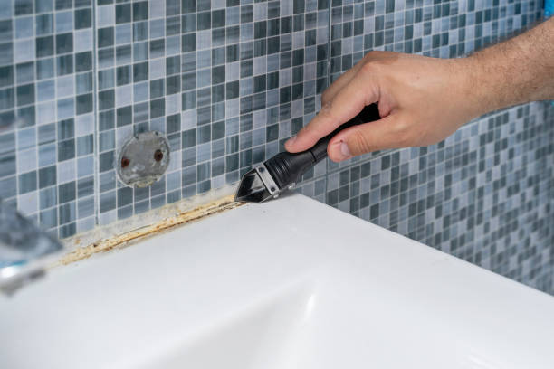 Mold Removal and Inspection in Waterloo, IA